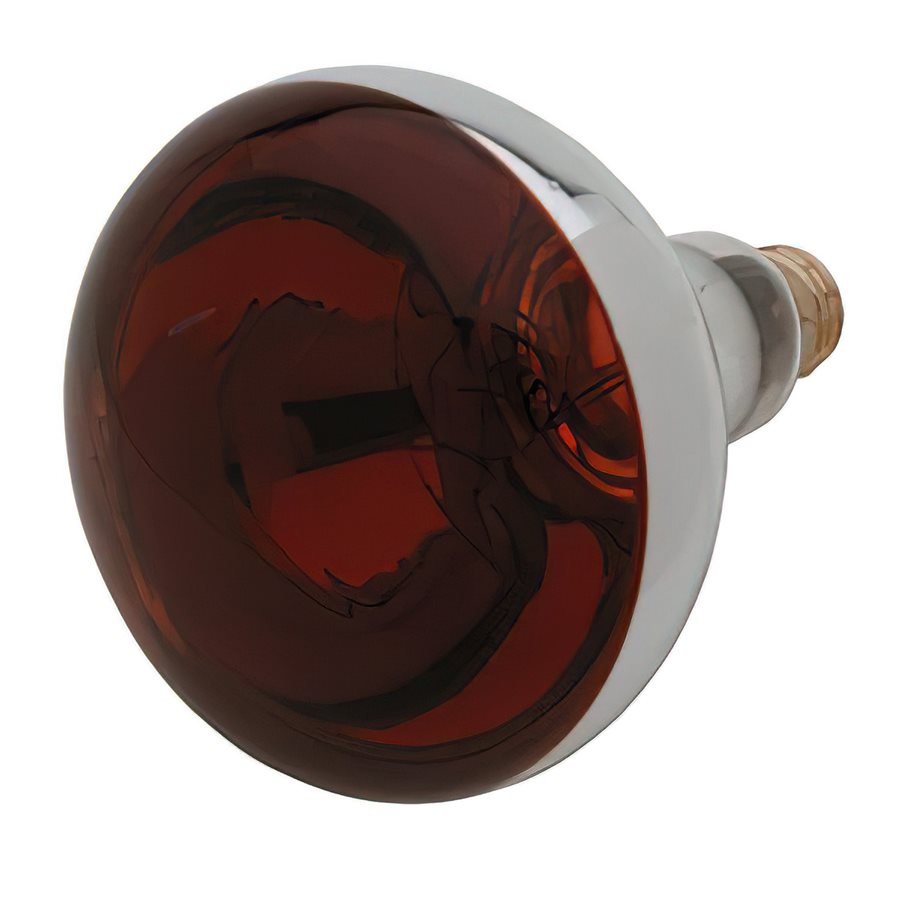 Infrared Heat Lamp Red Bulb 250 Watt with Shatter Resistant Coating (12 ...